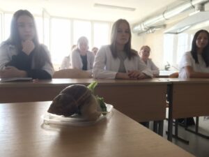 Круглий стіл «Равликотерапія»